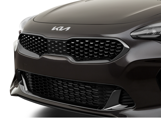 2022 Kia Stinger front grill