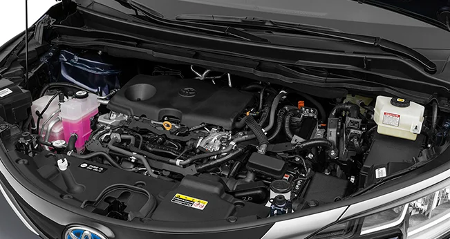 MPV Vehicles: Fewer Fill-Ups | CarMax