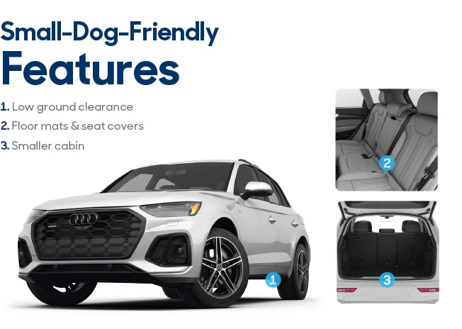 2022 Audi Q5 Premium Plus exterior, cargo space and interior.
Text states Features: Low ground clearance, Floor mats and seat covers, Smaller cabin
