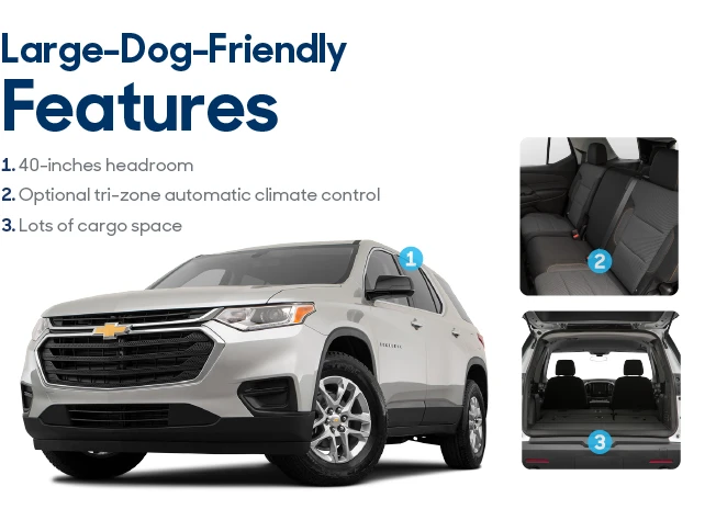 2021 Chevrolet Traverse exterior, interior and cargo.
Text states Features: 40-inches headroom, Optional tri-zone automatic climate control, lots of cargo space. 