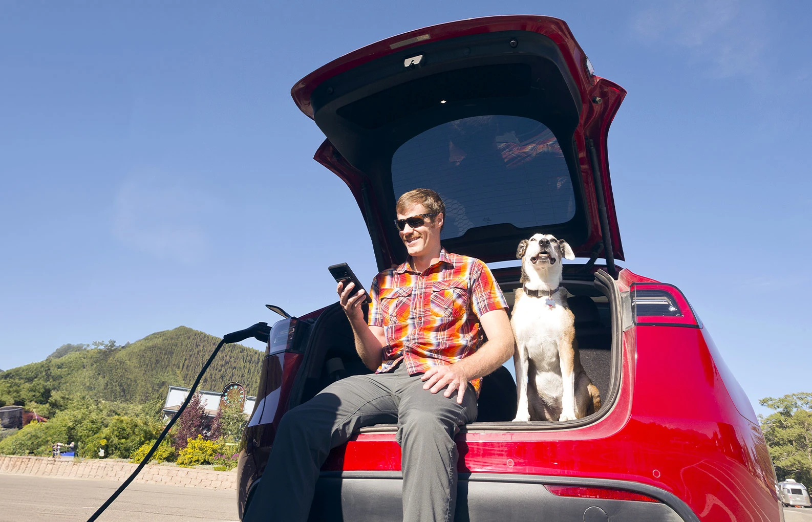 EV Hub Home - Owning an EV | How do owners feel | Hero | Man and dog sitting in back of EV hatchback while charging