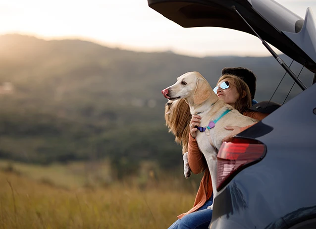 What Dog Owners Need to Consider When Car Shopping: Abstract 