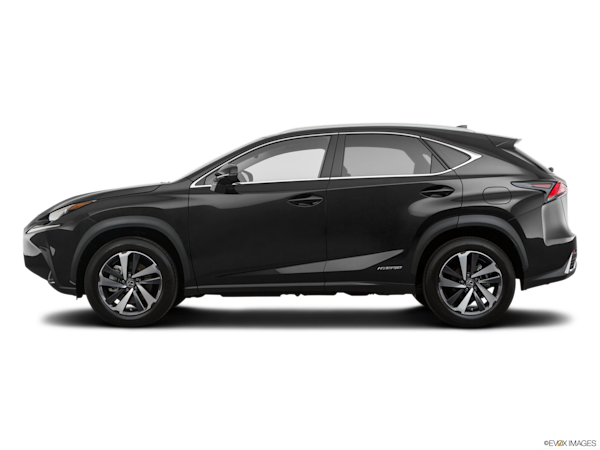 2020 Lexus NX 300h