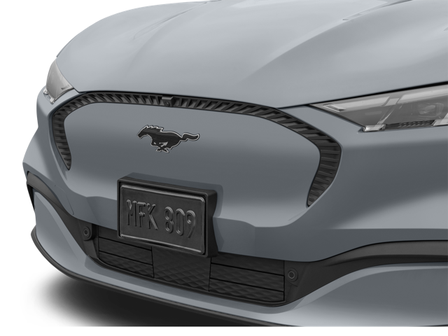 2024 Ford Mustang Mach-E Select grill
