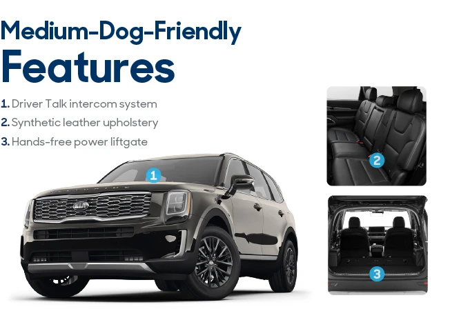 2021 Kia Telluride LX exterior, interior and cargo.
Text states Features: Driver Talk intercom, Synthetic leather upholstery, Hands-free power liftgate.