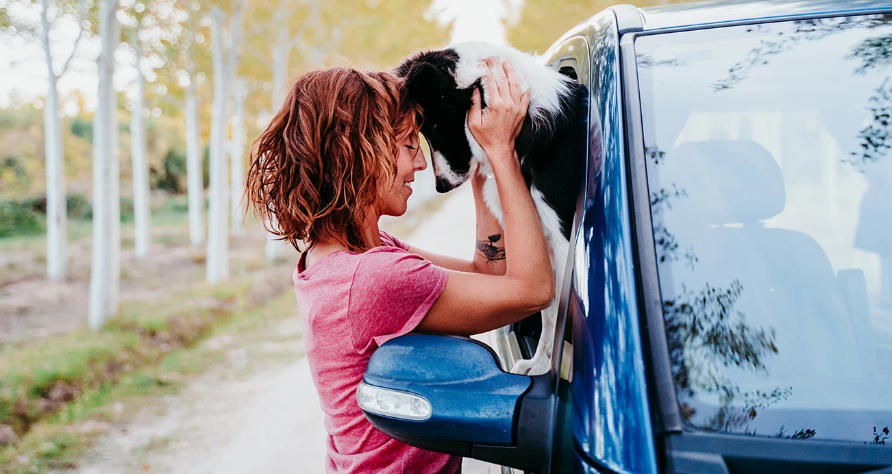 Woman standing outside blue car pressing forheads with Border Collie puppy which is leaning out of the car window. Trees and road in background