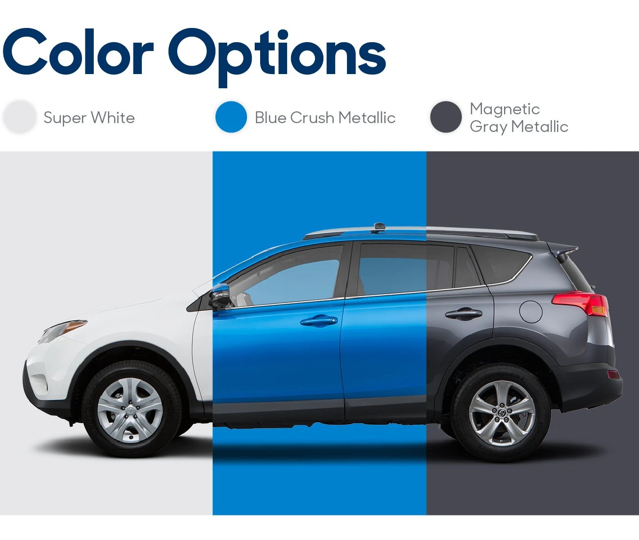 2015 Toyota RAV4: Reviews, Photos, and More: Color Options | CarMax