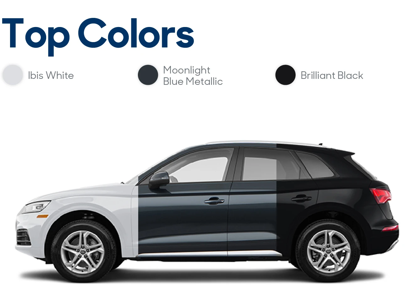 2019 Audi Q5 Review: Reviews, Photos, and More: Color Options | CarMax