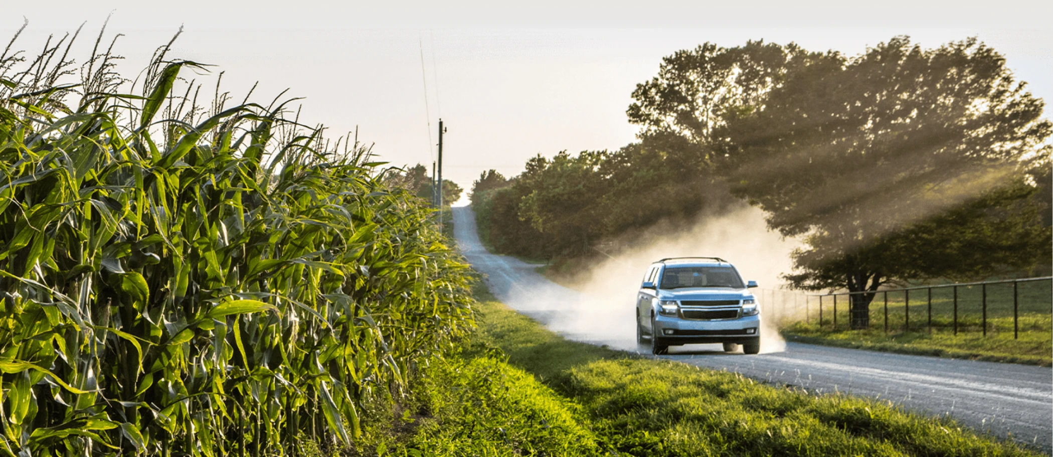 Best Diesel SUVs: Silver SUV kicking up dust while driving along country road | CarMax