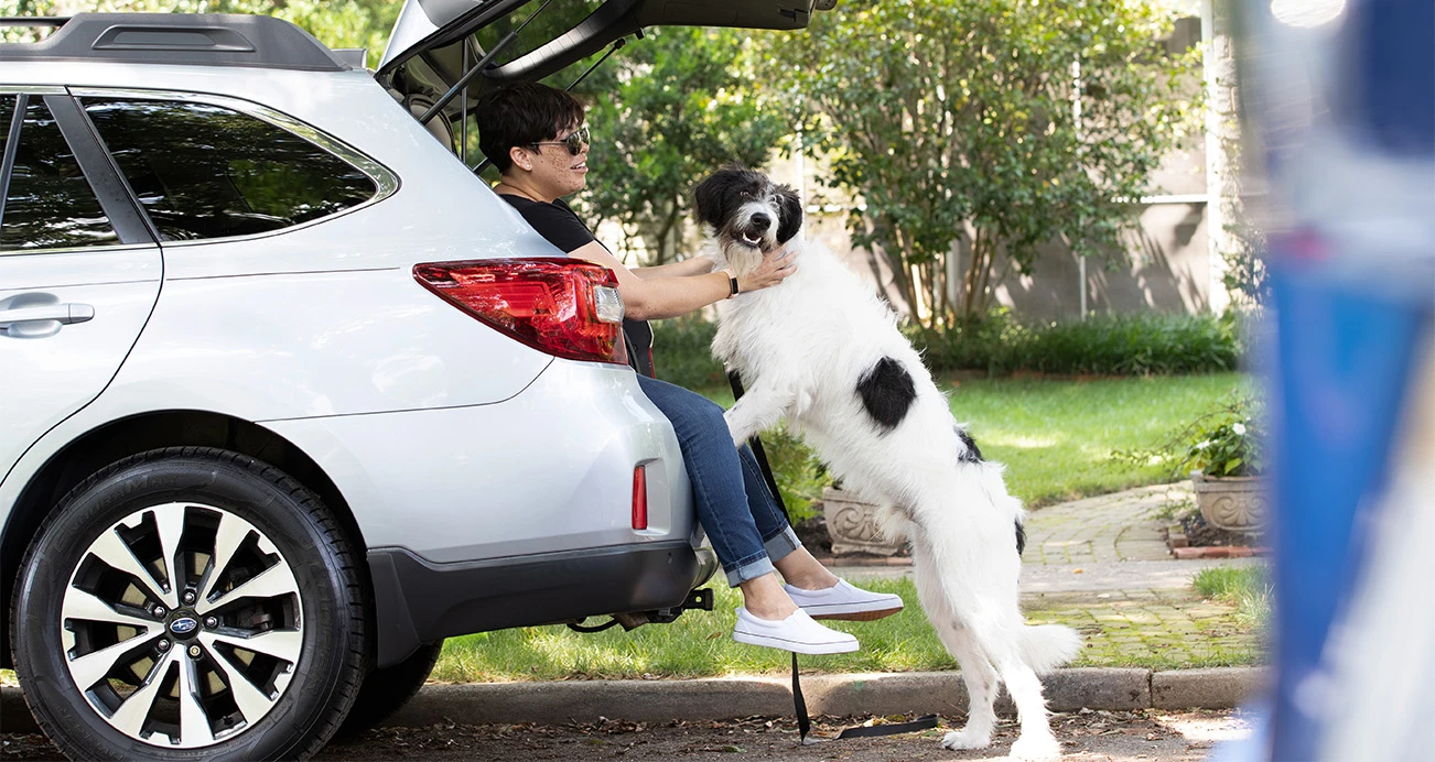 Woman sits in open trunk and pats black and white dog leaning on Subaru Outback