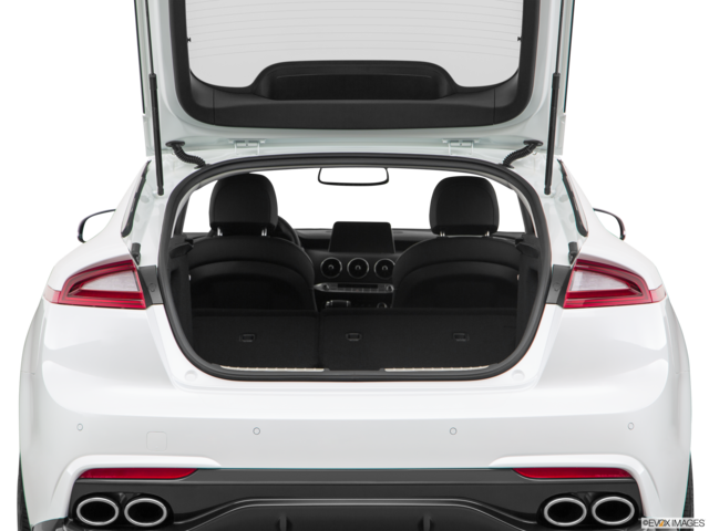 2019 kia stinger cargo area empty