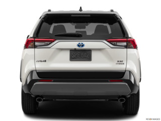 2019 toyota rav4-hybrid back