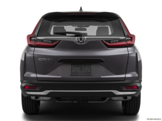 2020 honda cr-v back