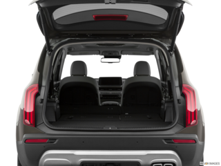 2020 kia telluride cargo area empty