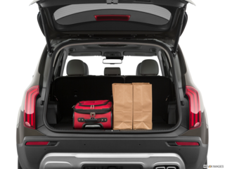 2020 kia telluride cargo area with stuff