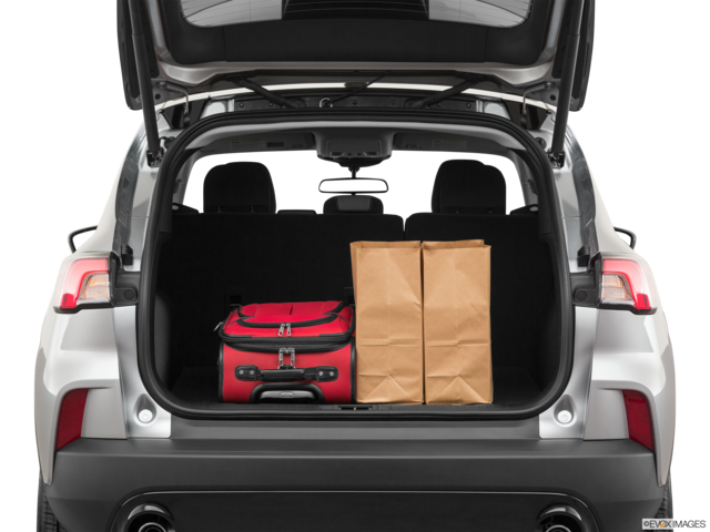 2021 ford escape-hybrid cargo area with stuff