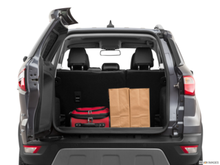2022 ford ecosport cargo area with stuff