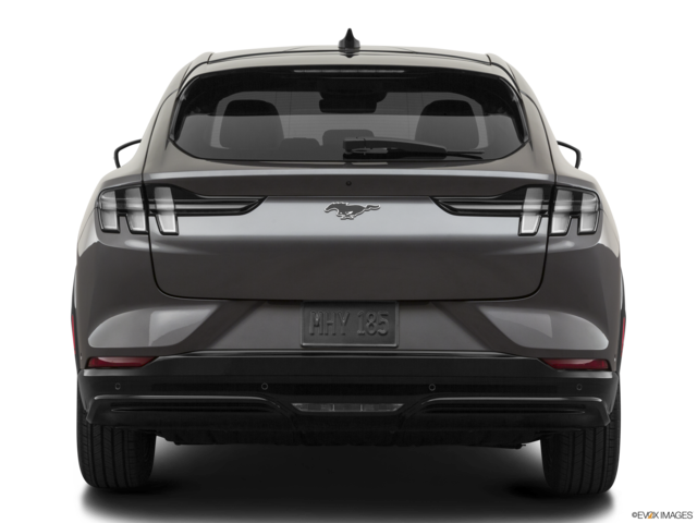 2022 ford mustang-mach-e back