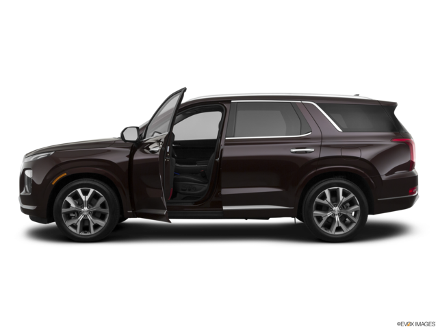 2022 hyundai palisade side