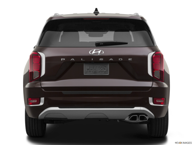 2022 hyundai palisade back