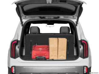 2023 kia telluride cargo area with stuff